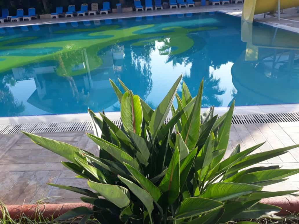 Hotel Club Jovia Kemer Antalya Zewnętrze zdjęcie