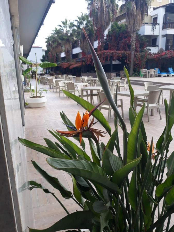 Hotel Club Jovia Kemer Antalya Zewnętrze zdjęcie