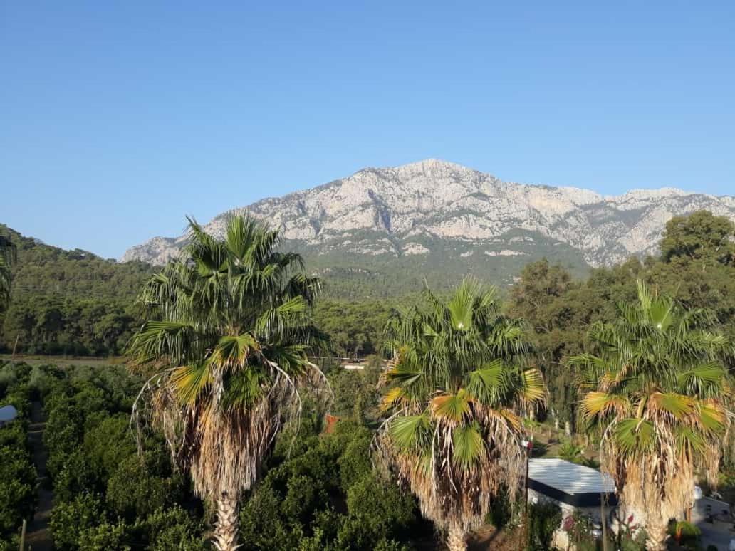 Hotel Club Jovia Kemer Antalya Zewnętrze zdjęcie